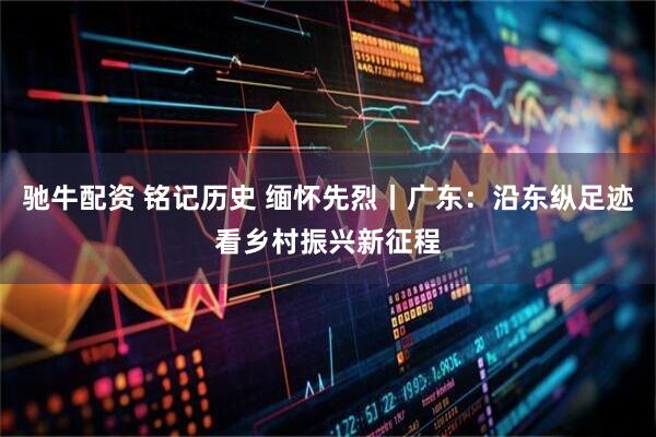 驰牛配资 铭记历史 缅怀先烈丨广东：沿东纵足迹看乡村振兴新征程