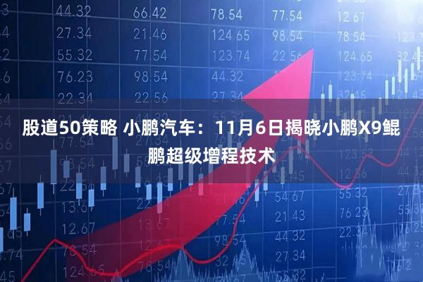 股道50策略 小鹏汽车：11月6日揭晓小鹏X9鲲鹏超级增程技术